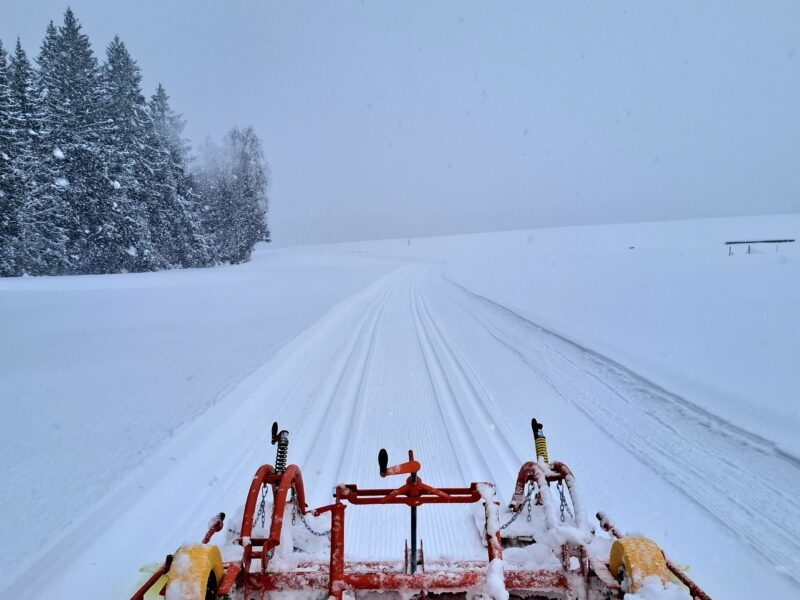 Трасса лыжная .Максима Парк, состояние на 15 февраля 2026 по отзыву, фото 2. 